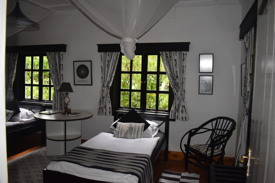 Egyptian cotton sheets, premium bedding, down comforters