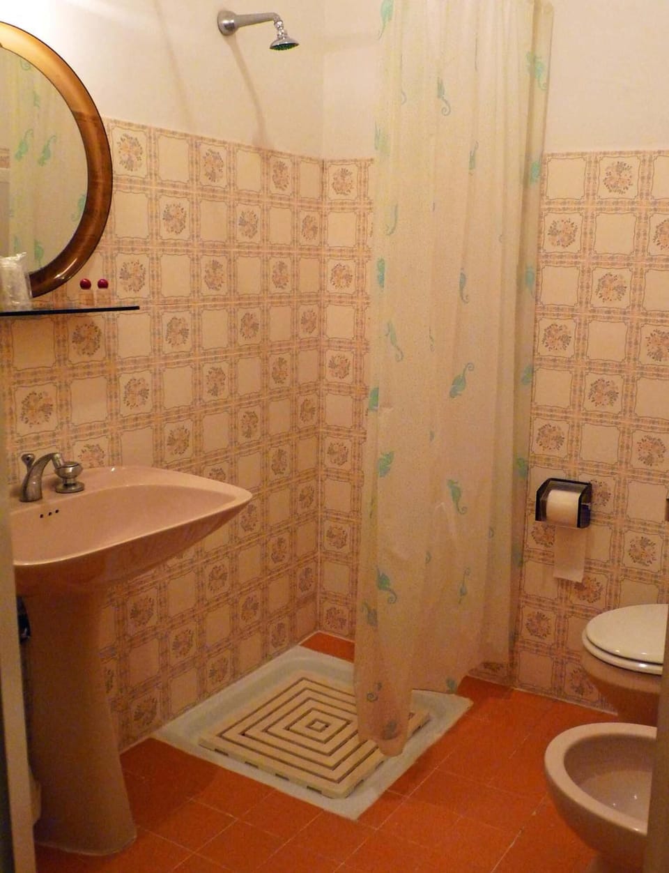 Shower, bidet, towels, soap
