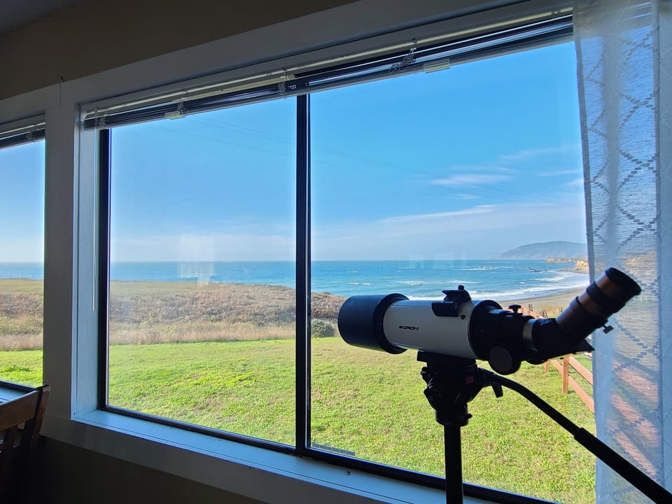 Whale watching station