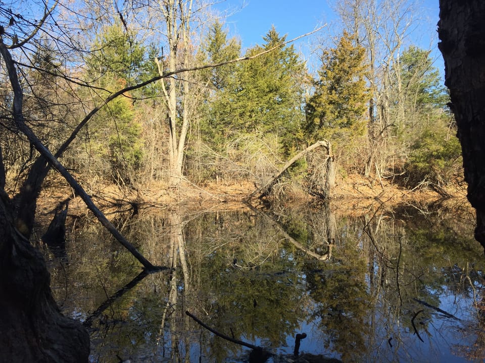 Hiking Views:  secluded pond
