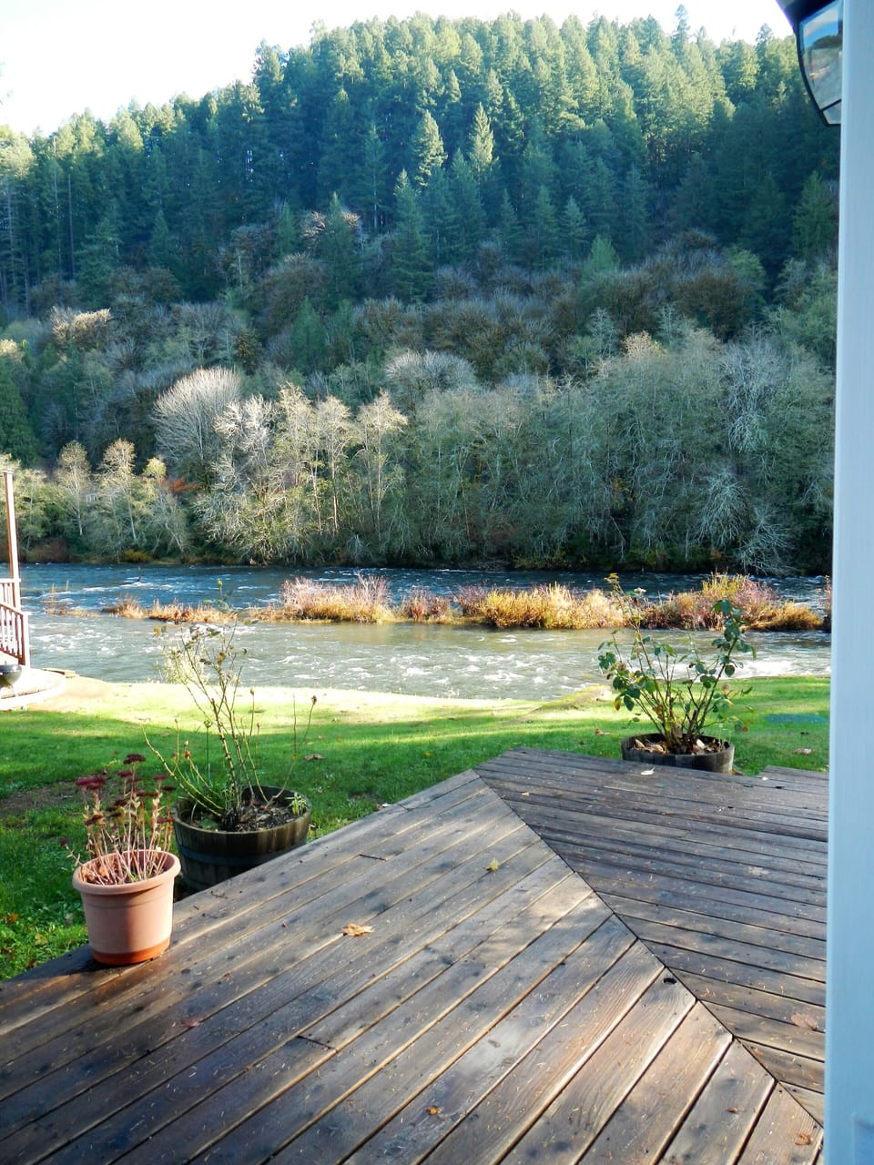 A fall day view from the back door.