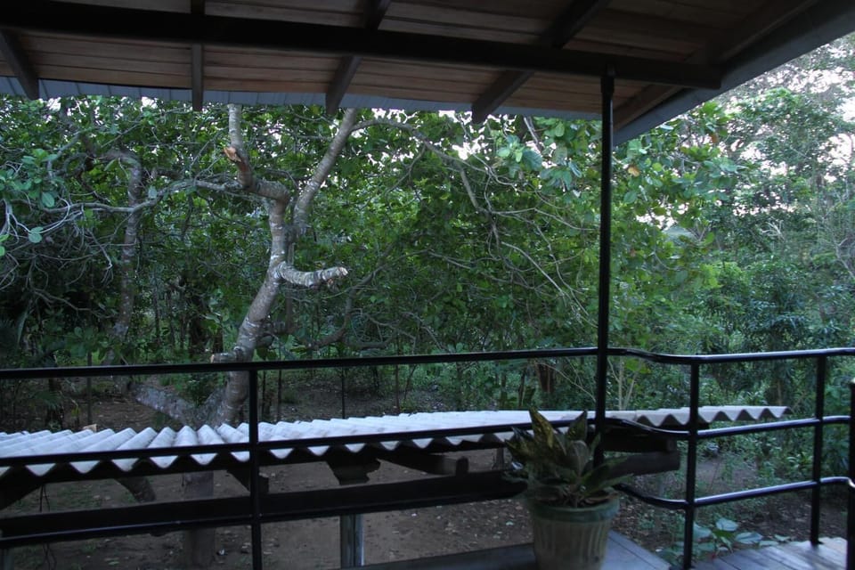 L.L.Tourist Inn & Safari jeeps Bed and Breakfast in Sri Lanka