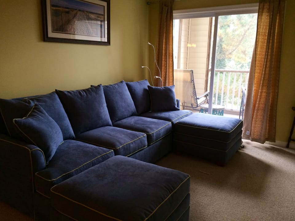 brand new furniture and carpet!