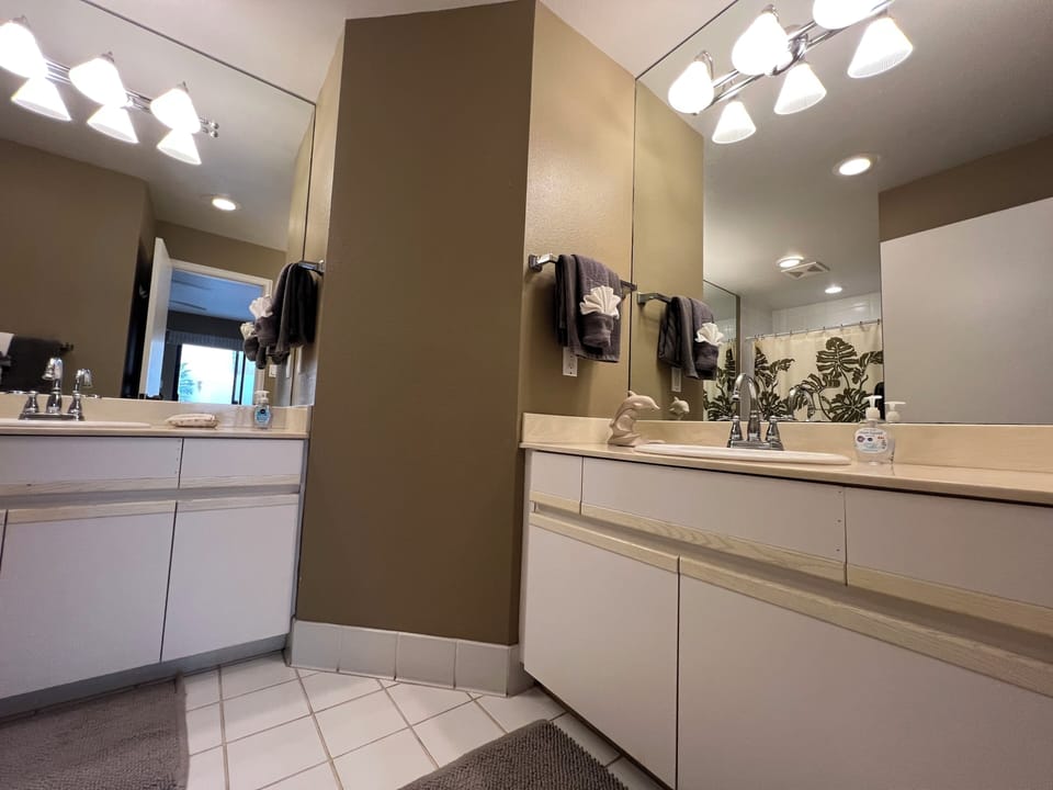 His/Her Sinks: Primary