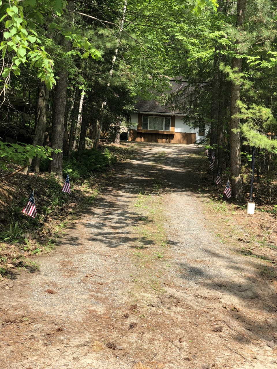 Private driveway nestled in the woods