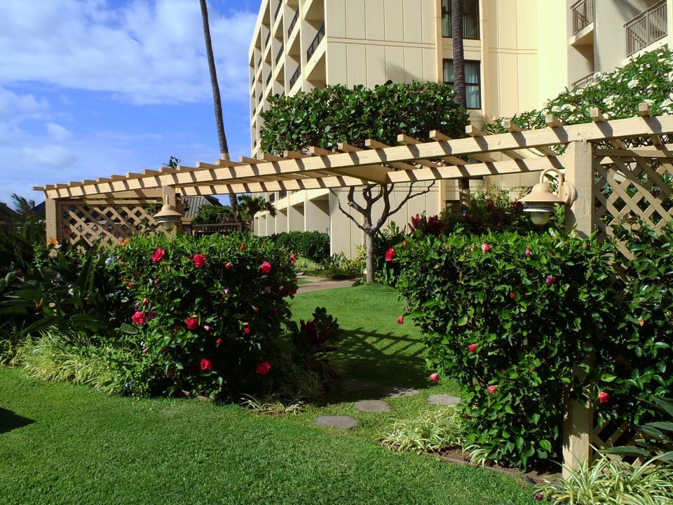 Tropical gardens