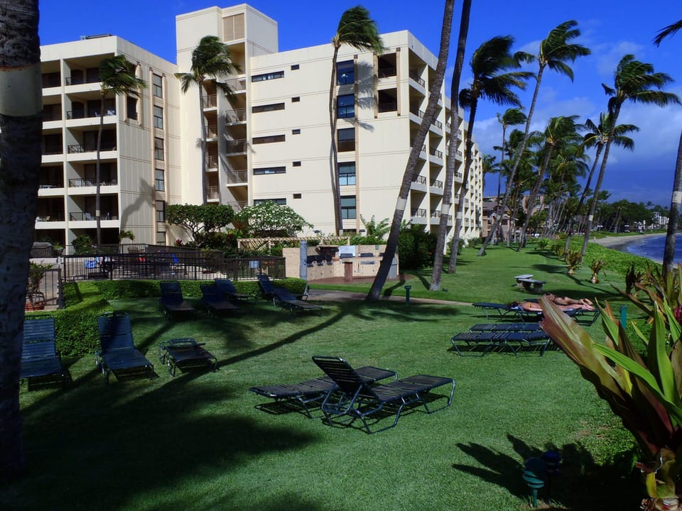Manicured suntanning lawns