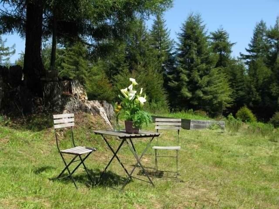Tea table in Grassy Meadow