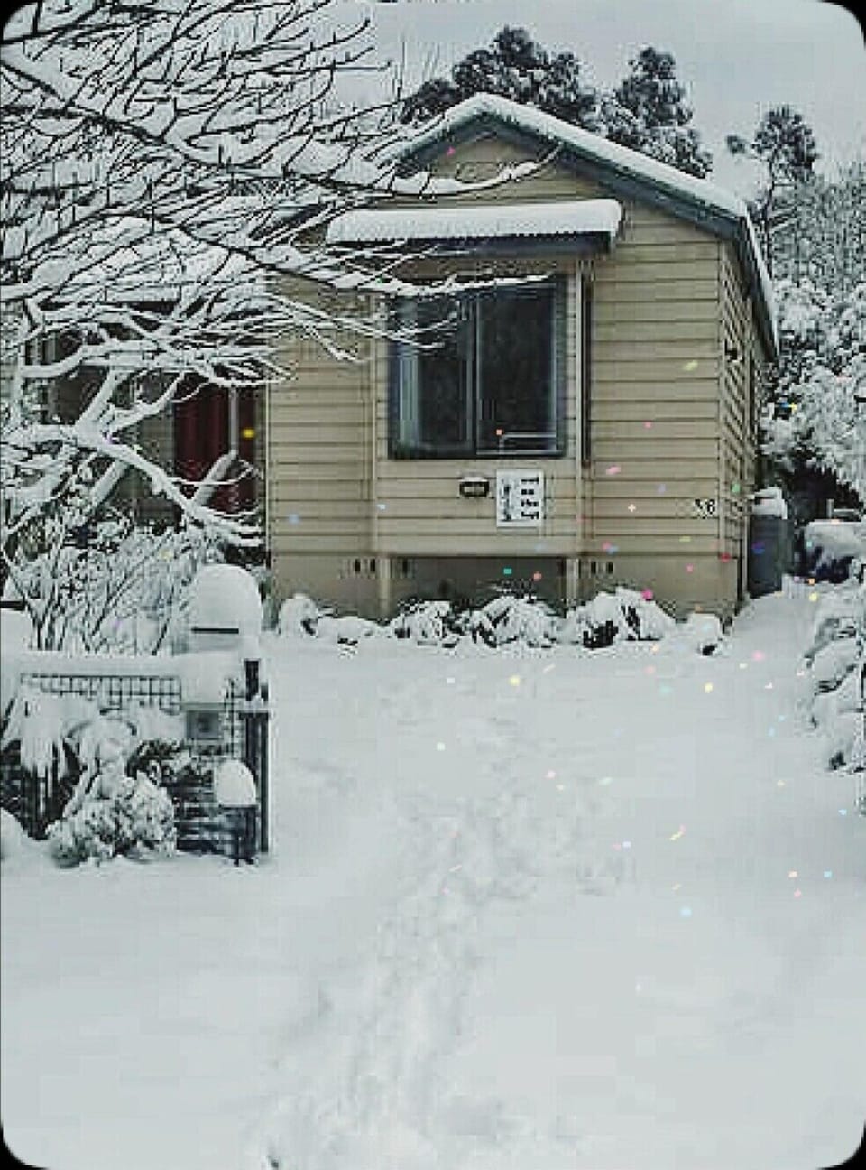 The Snow cat