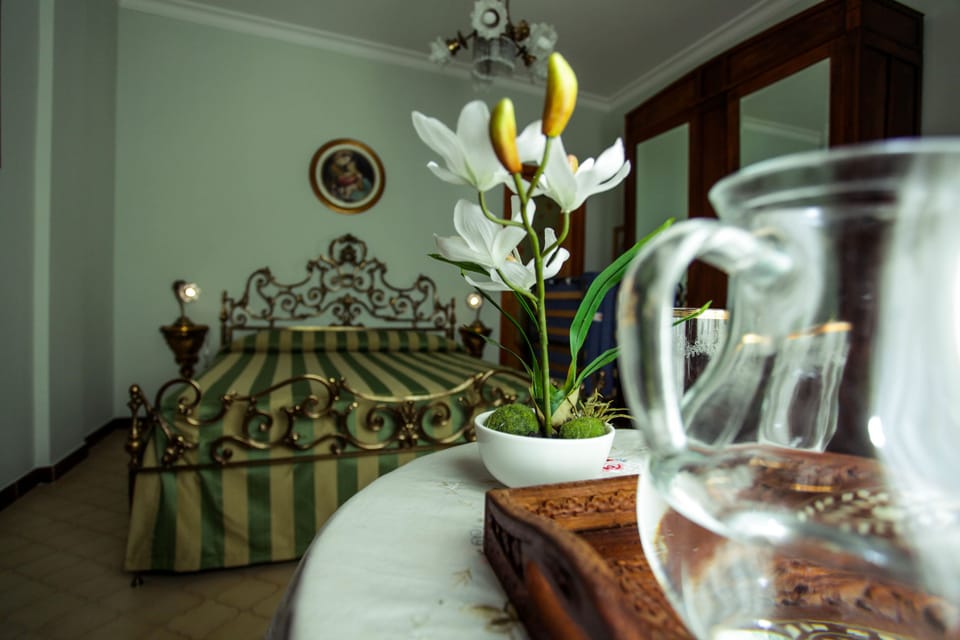 Classic Double Room, Non Smoking | View from room