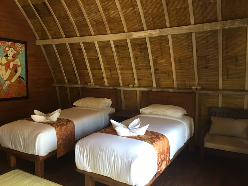 Deluxe Twin Room | In-room safe, soundproofing, rollaway beds (surcharge), WiFi (free)