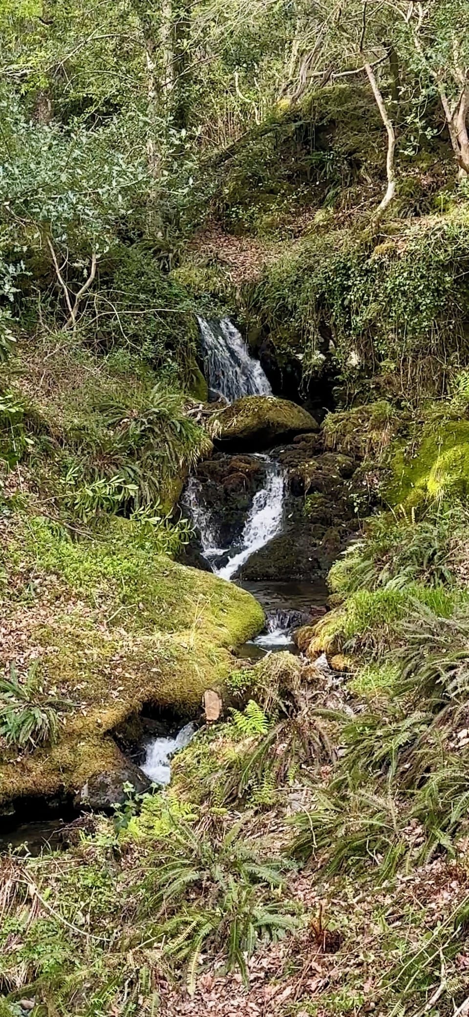 Waterfall Spa Lodge with Hot Tub - No Pets | Balcony view