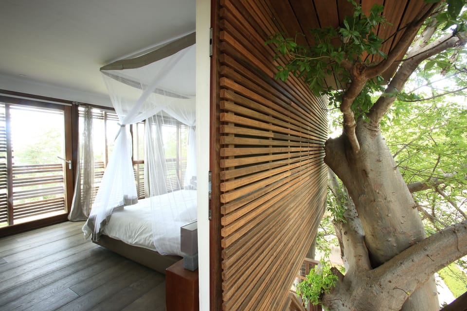 Superior Single Room | Minibar, in-room safe, individually decorated, desk