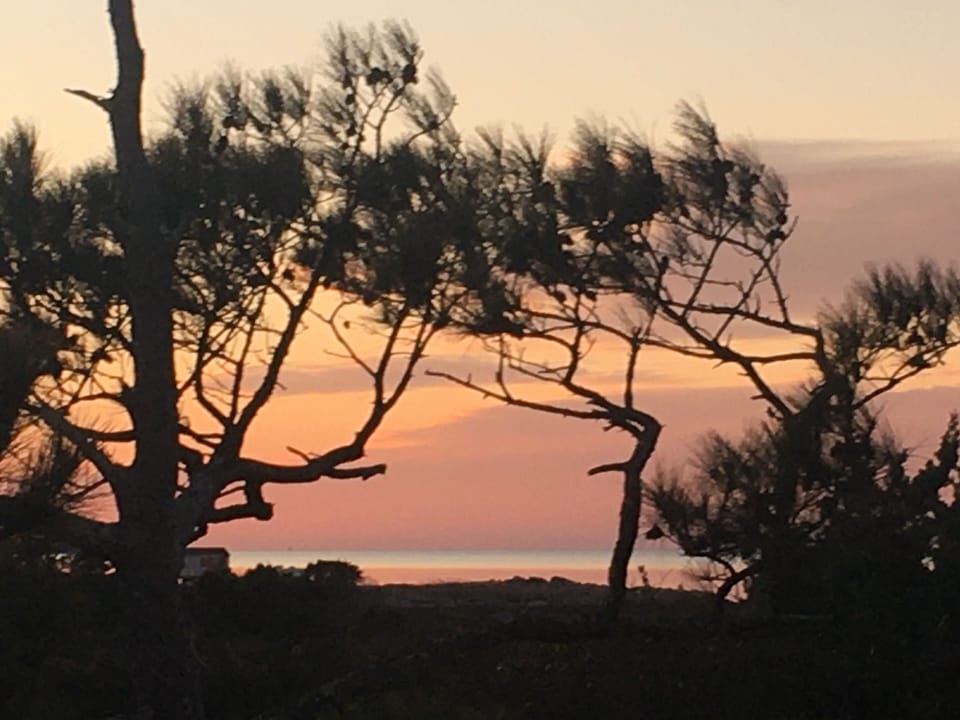 Sunset View