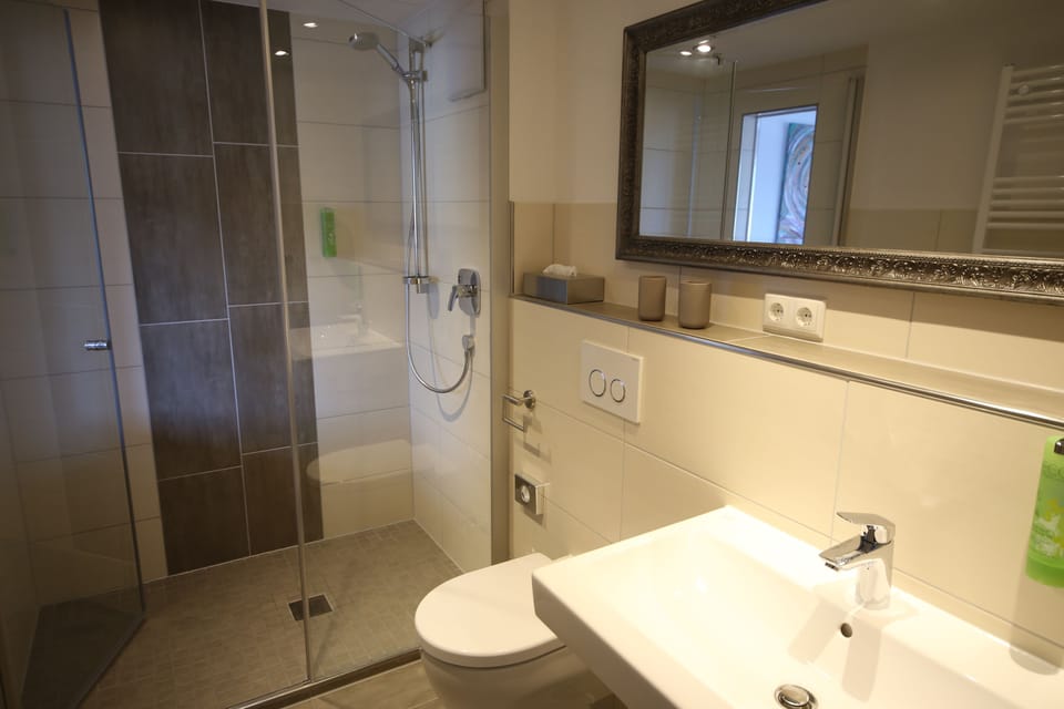 Classic Double Room | Bathroom | Shower, free toiletries, hair dryer, towels
