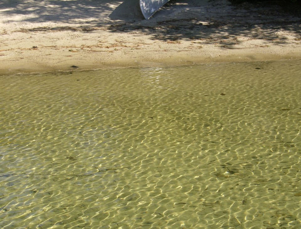 You can see the bottom wherever you are swimming.  