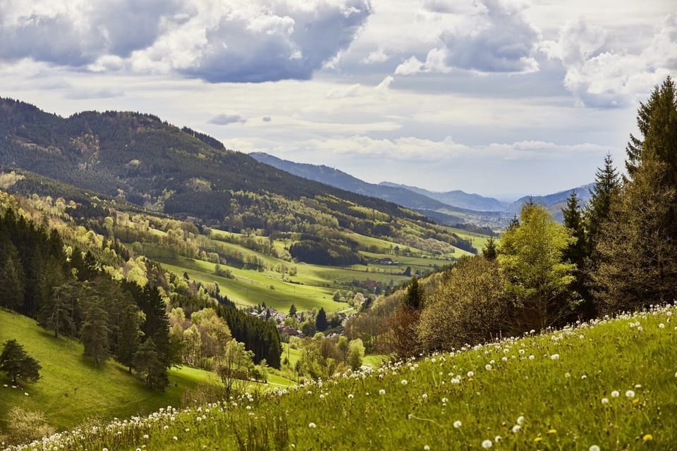 Land view from property