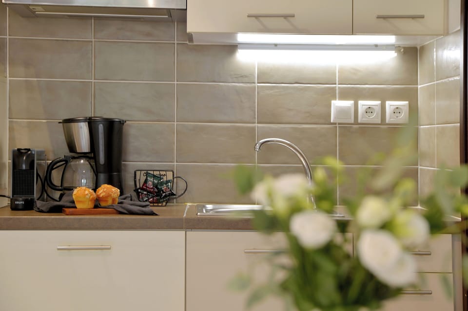 Deluxe Apartment | Private kitchen | Fridge, microwave, stovetop, coffee/tea maker