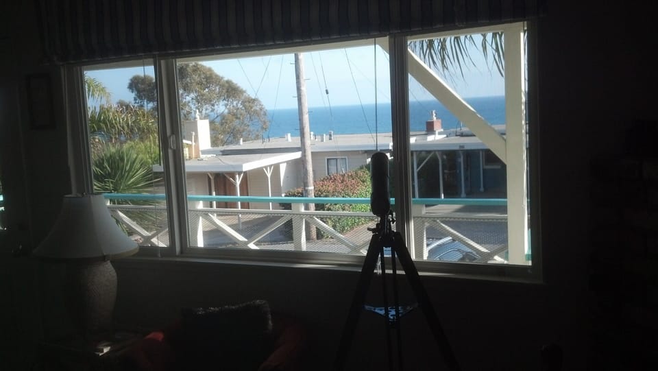Ocean view from the living room