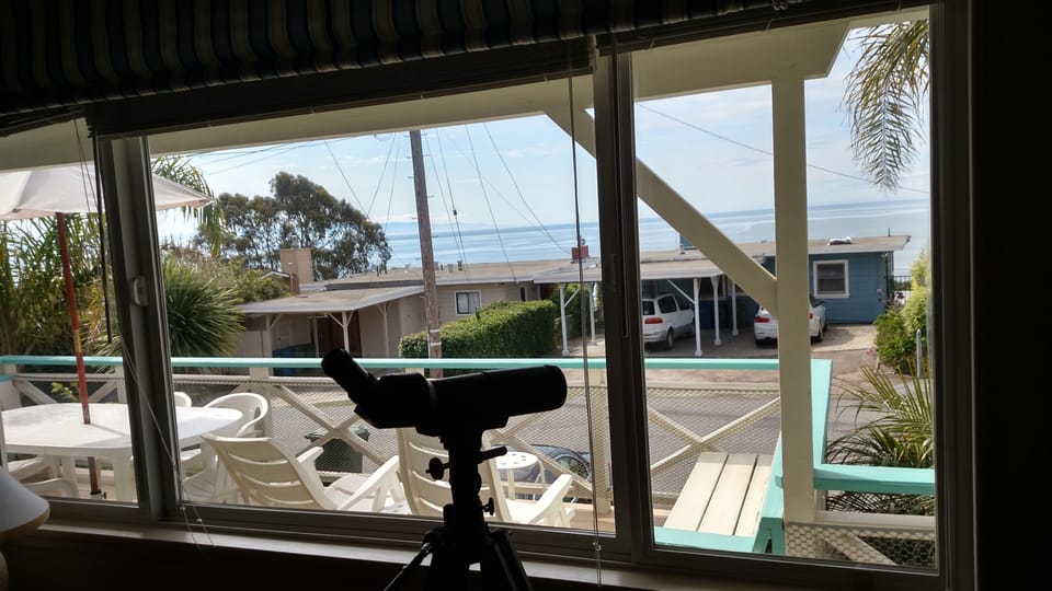 Ocean View from the Great Room
