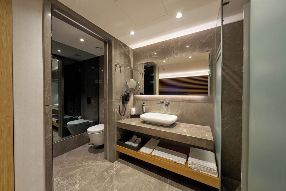 Deluxe Room | Bathroom | Shower, rainfall showerhead, free toiletries, hair dryer
