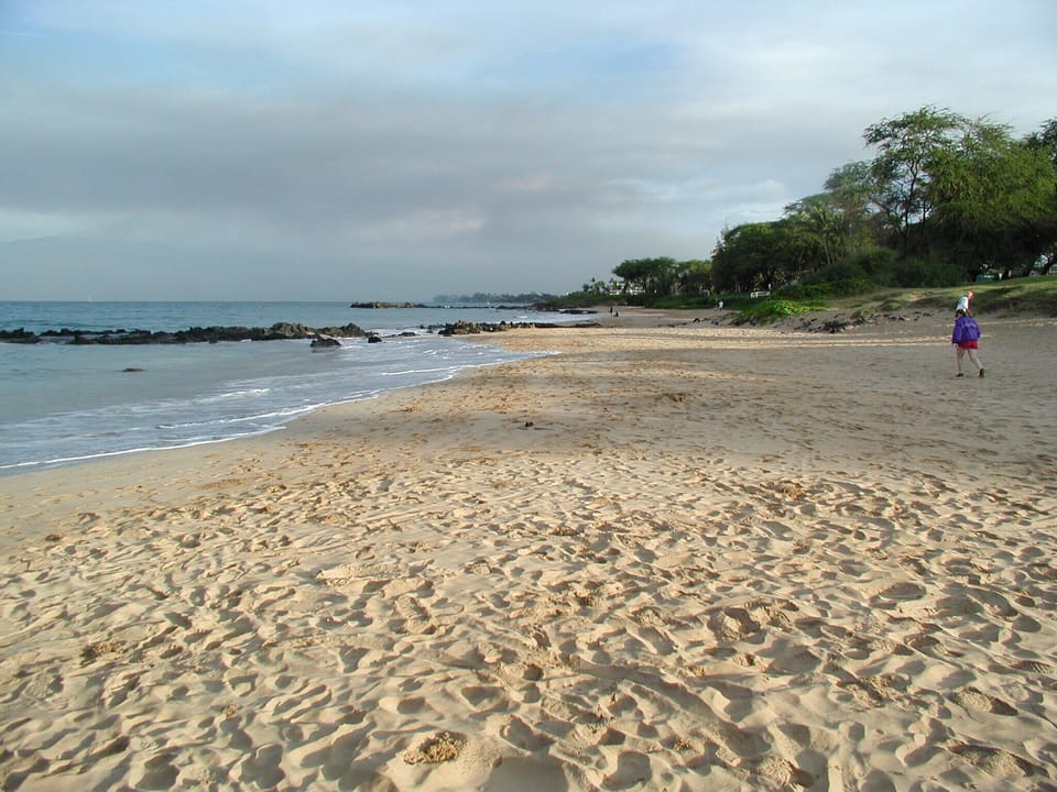 Kamaole Beach III. Truly a great beach!!