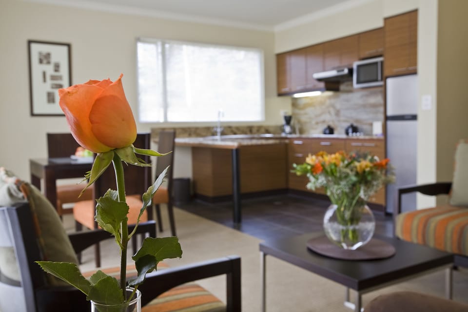 Suite | In-room safe, desk, iron/ironing board, WiFi (free)