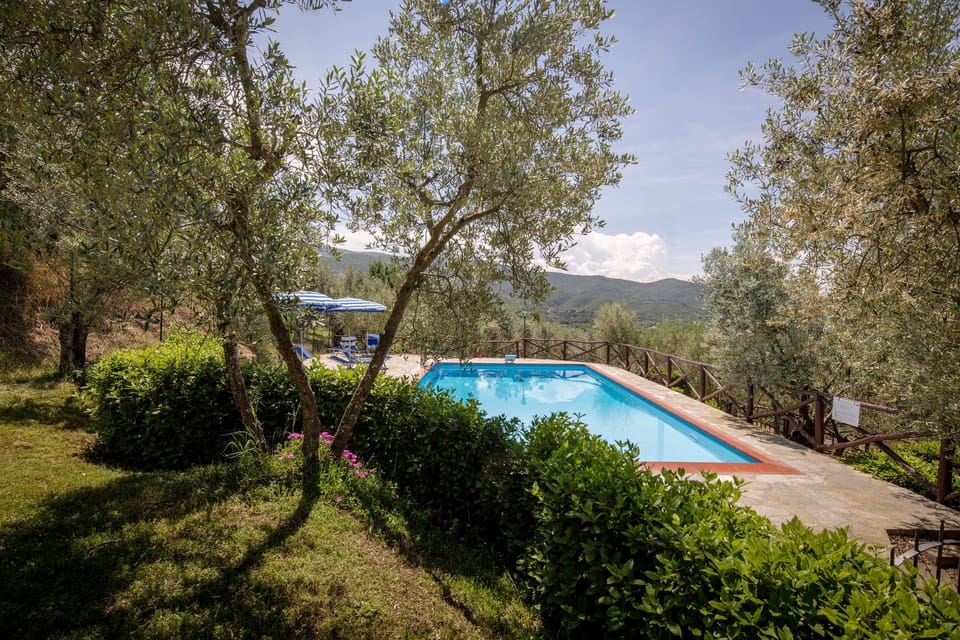Property, Swimming Pool, Real Estate, House, Tree, Architecture, Estate, Residential Area, Home, Building