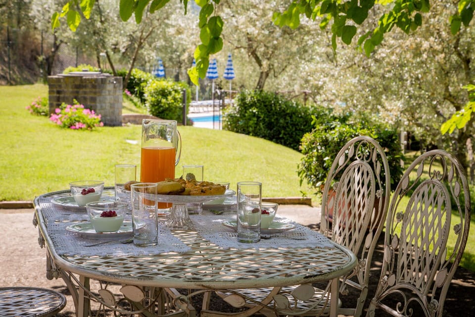 Green, Yellow, Table, Furniture, Backyard, Chair, Garden, Tree, Restaurant, Plant
