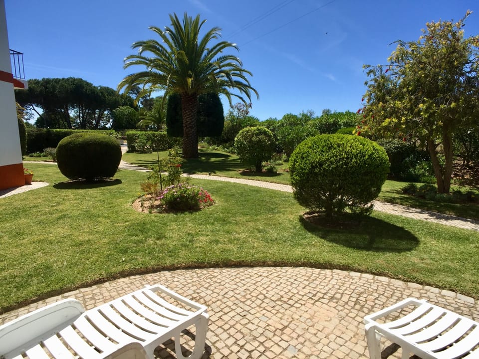 Patio overlooking garden