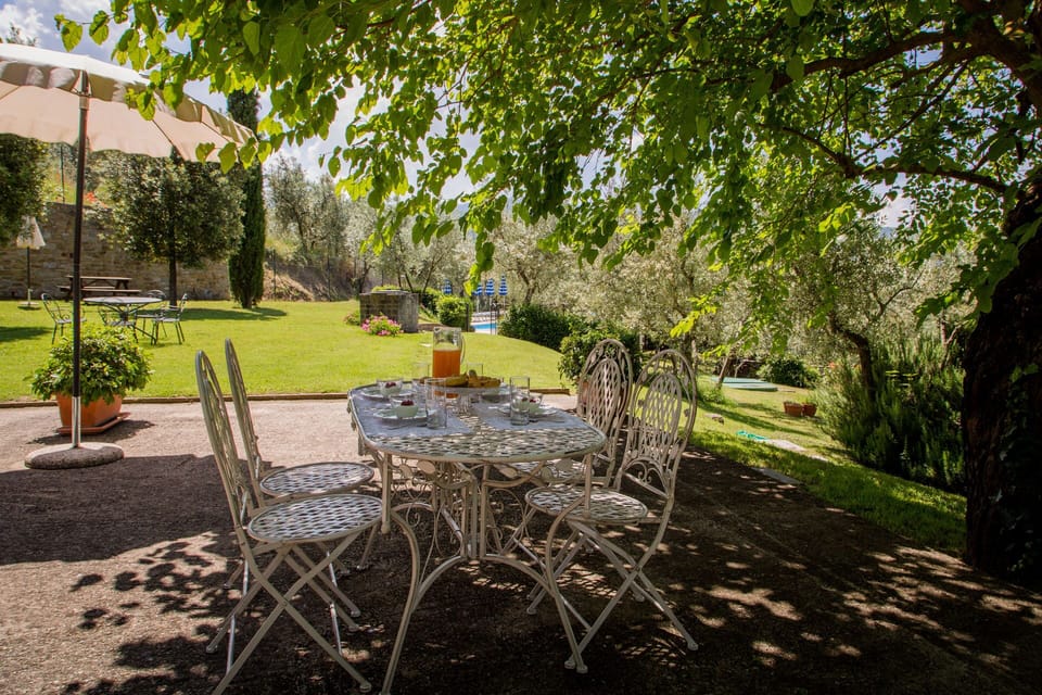 Tree, Property, Grass, Real Estate, Botany, Garden, House, Lawn, Backyard, Architecture