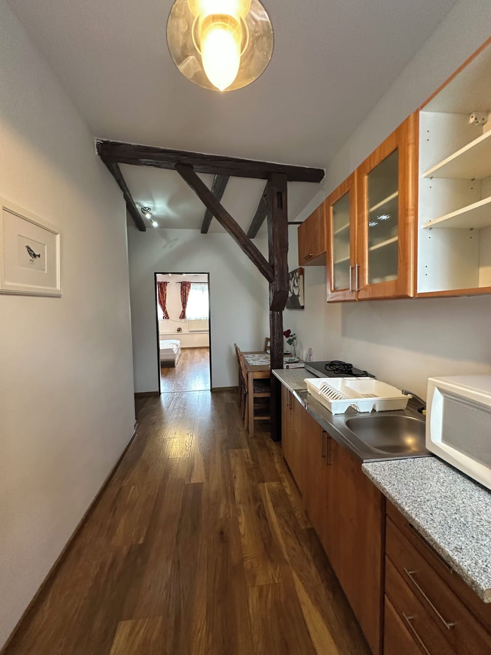Family Apartment (Podkrovní) | Minibar, iron/ironing board, cribs/infant beds, free WiFi
