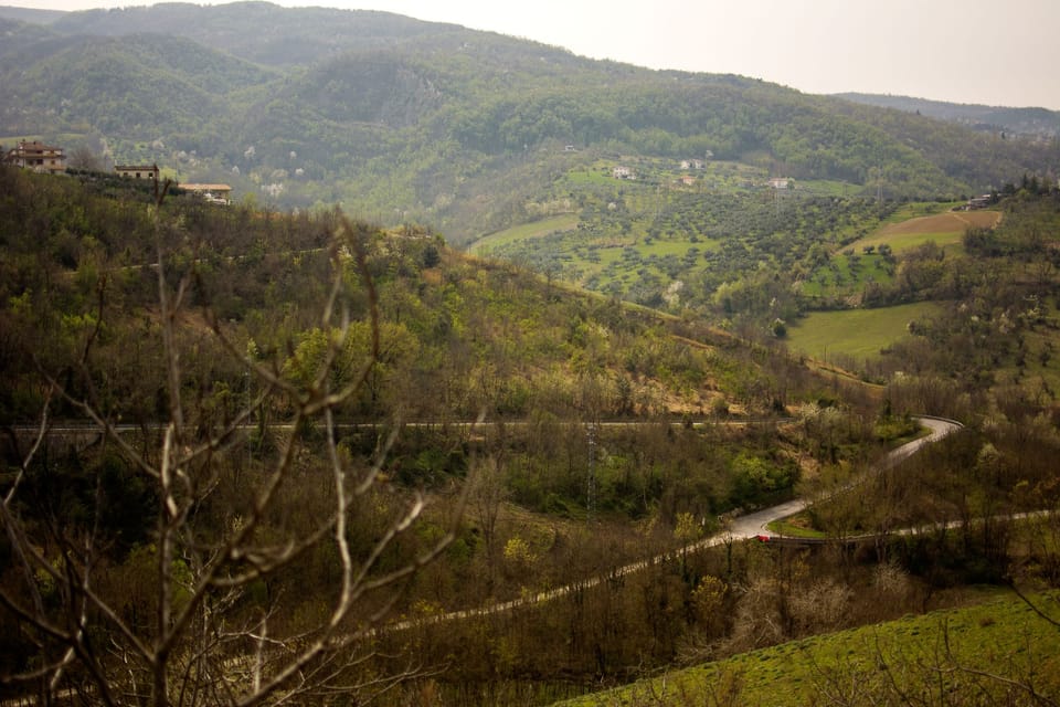 Mountain view