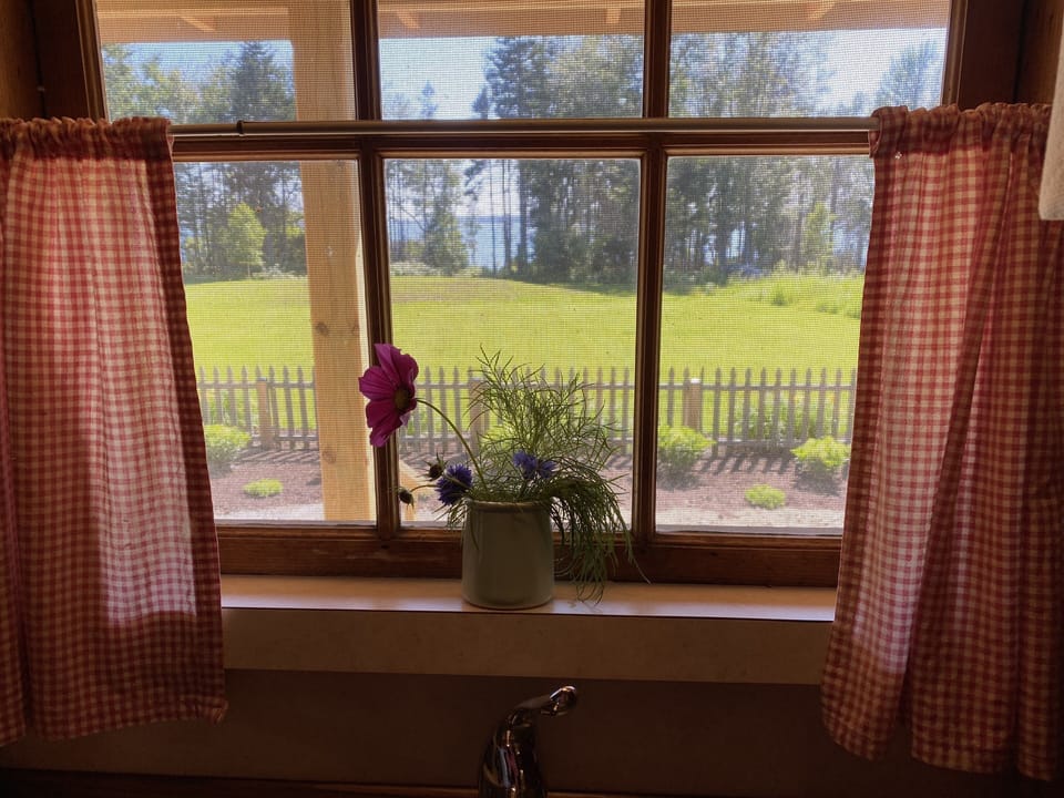 views from the kitchen window