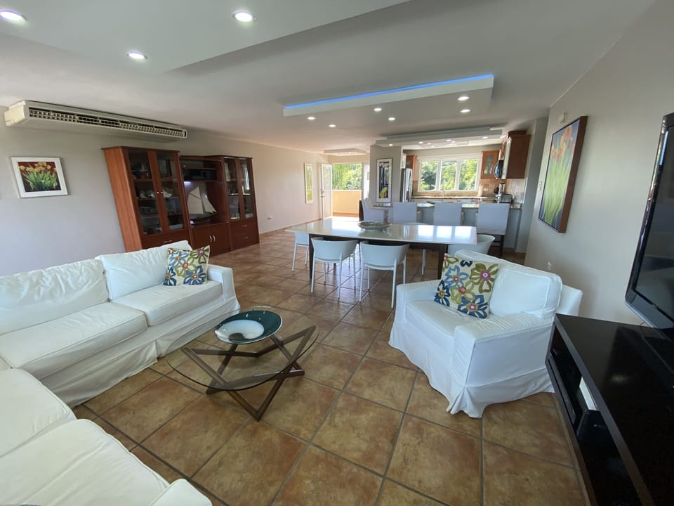 Spacious Dining & Living Area
