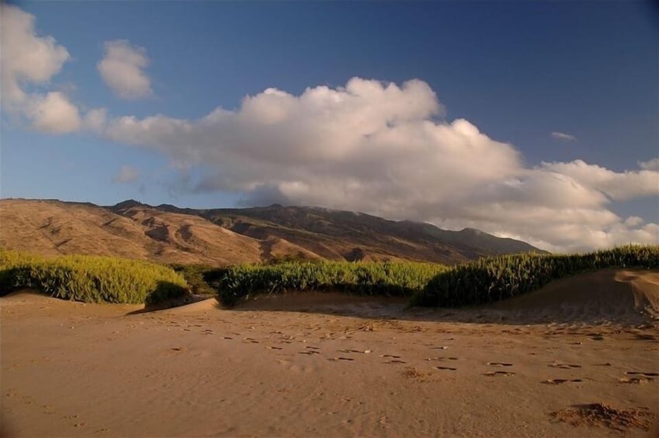bird & wildlife sanctuary, 5 min walk down beach