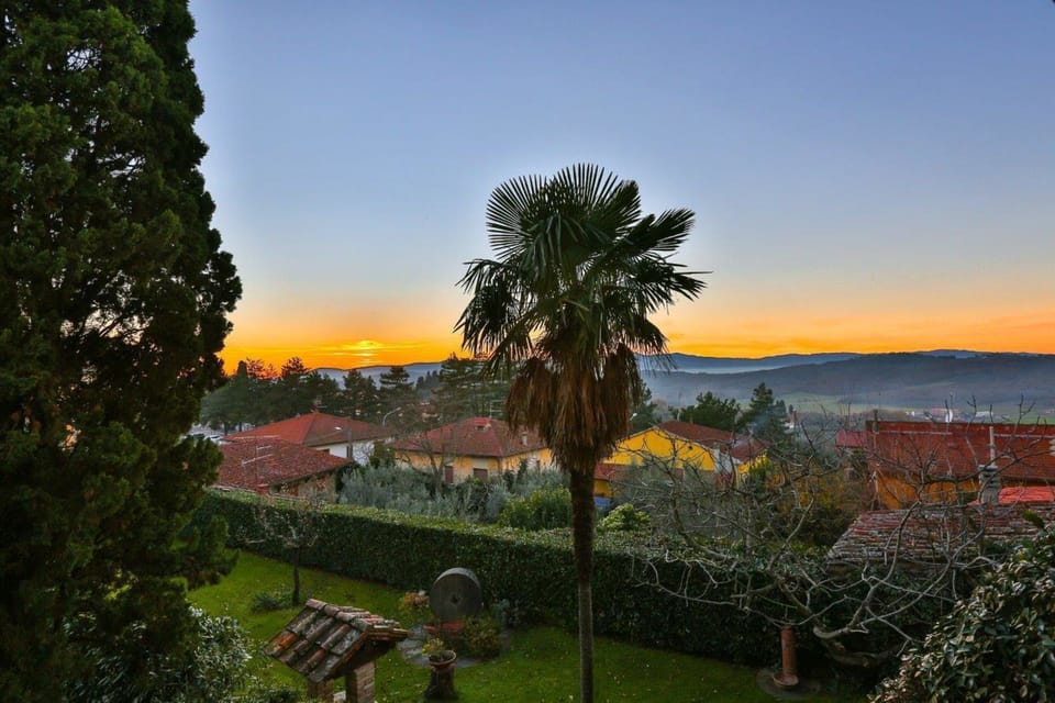 Garden, Outdoor, Scenic View
