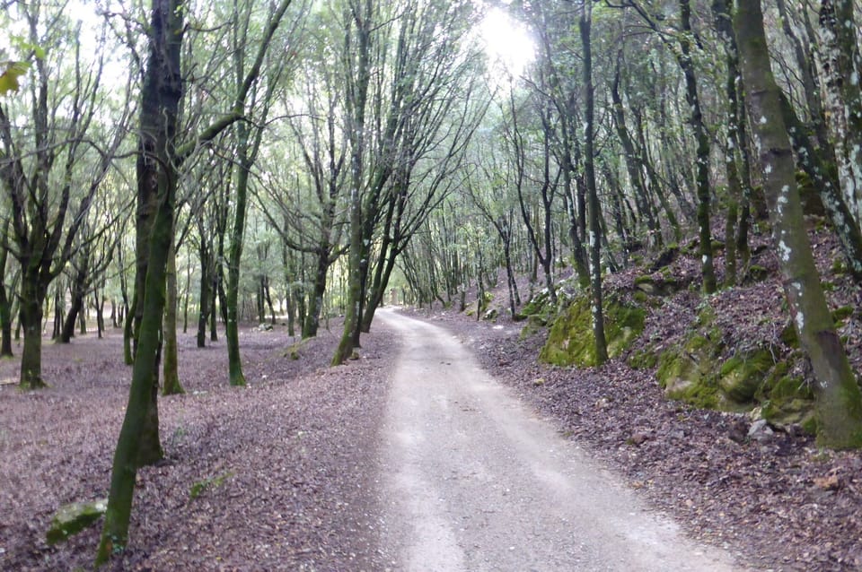 trekking or Mountain biking in Sardinia, with trails like this that never end.