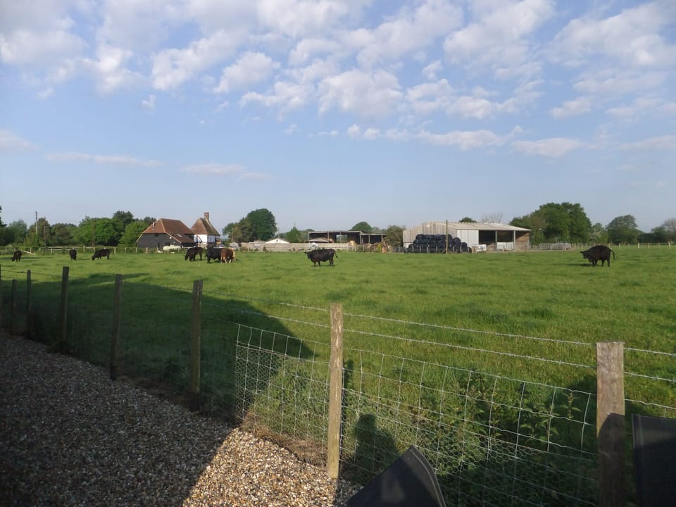 Rear view from the annexe patio. Enjoy the open farmland from the rear view