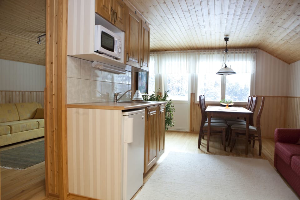 Majaniemi | Private kitchen | Fridge, microwave, coffee/tea maker, electric kettle