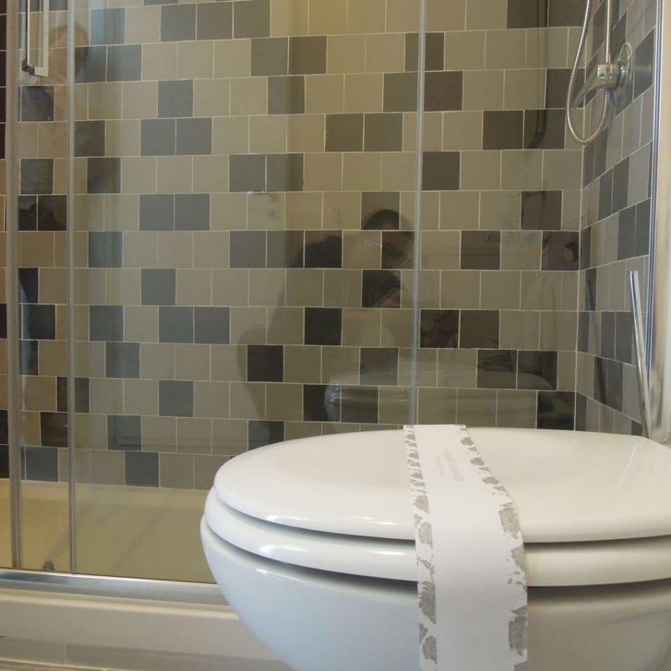 Shower, hair dryer, bathrobes, bidet