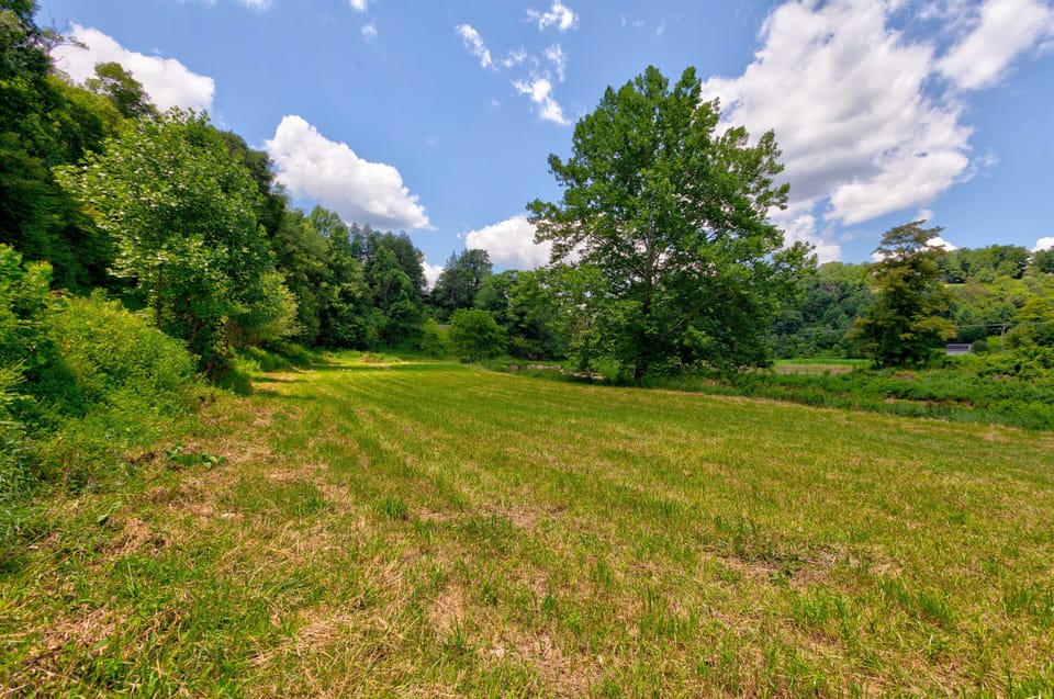 Big 6-acre Riverfront Meadow for Timber Creek Cabin Guests Only!  Fish, Picnic, Kayak, Raft...