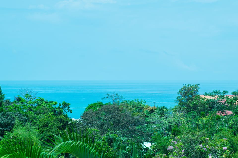 Beach/ocean view