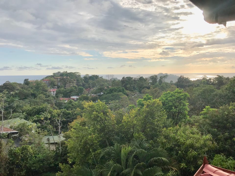 View from property