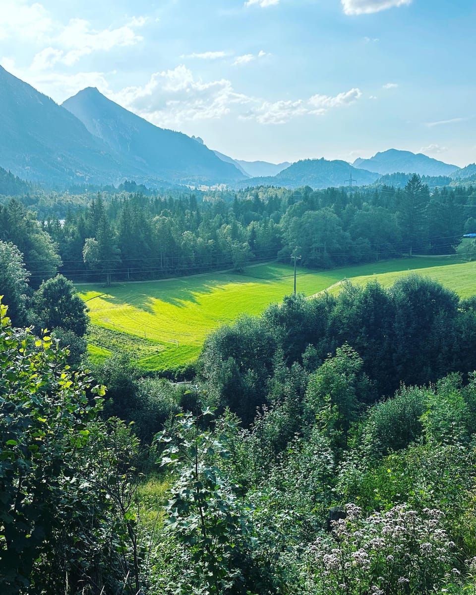 Land view from property
