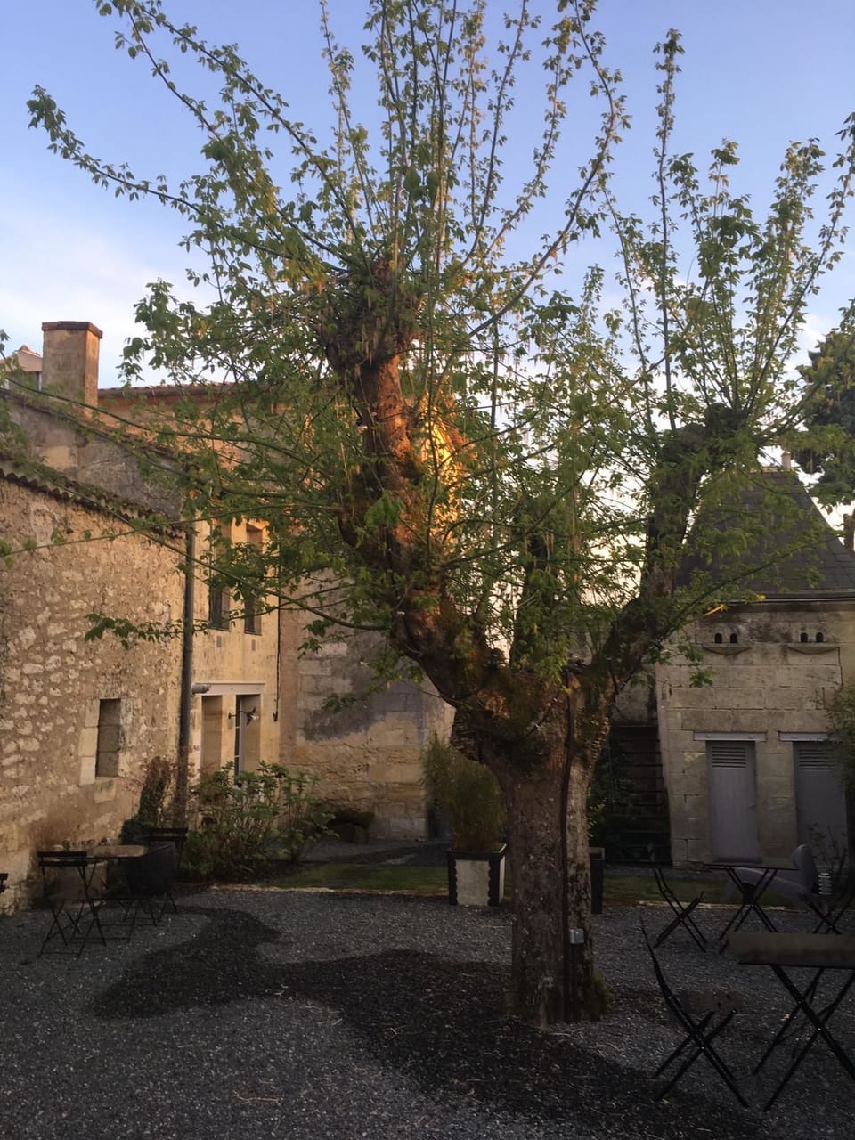 Clos 1906 Bed and Breakfast in Saint-Émilion