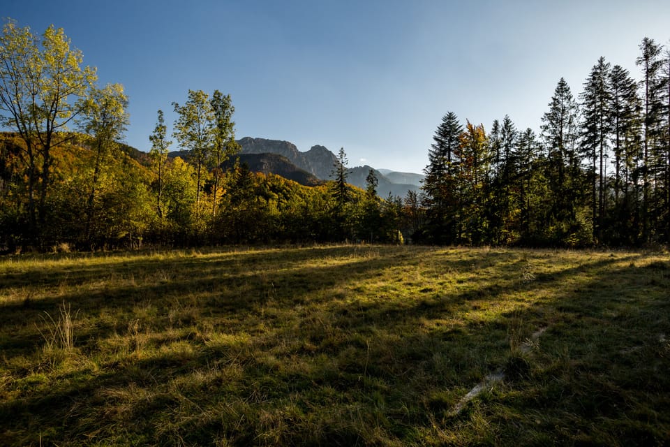 Mountain view