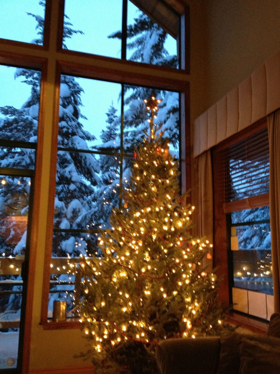 Make this your Christmas Tree 