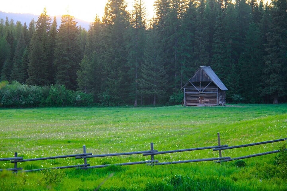 Abbott Valley Homestead
Hay Field