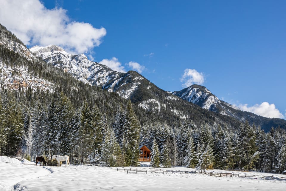 Snow and ski sports